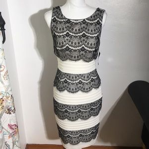 NWT JAX Dress Size 8